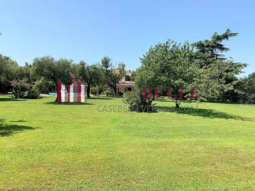 Immagine 6 di Villa in affitto  a Seravezza