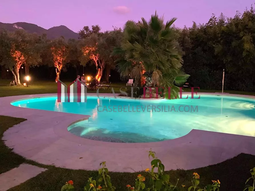 Immagine 11 di Villa in affitto  a Seravezza