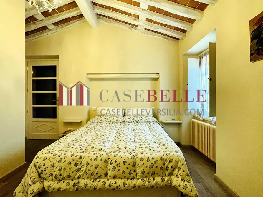 Immagine 81 di Villa in affitto  a Seravezza