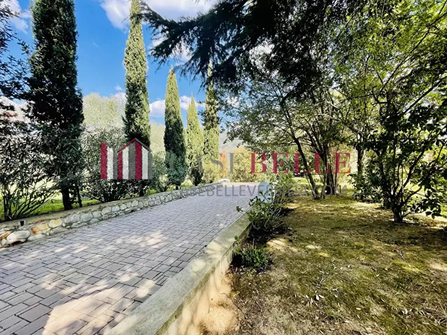 Immagine 10 di Villa in affitto  a Seravezza