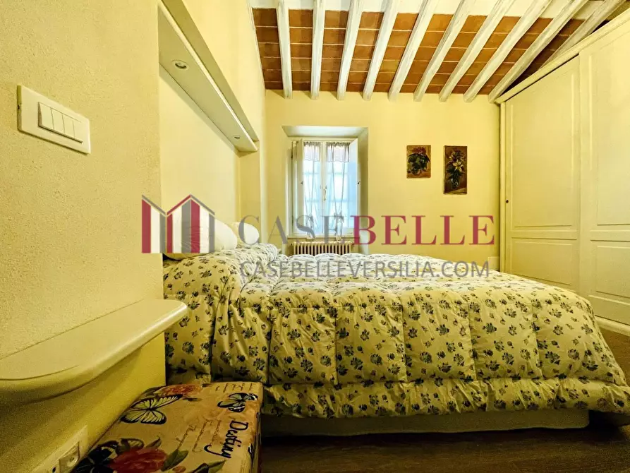 Immagine 84 di Villa in affitto  a Seravezza