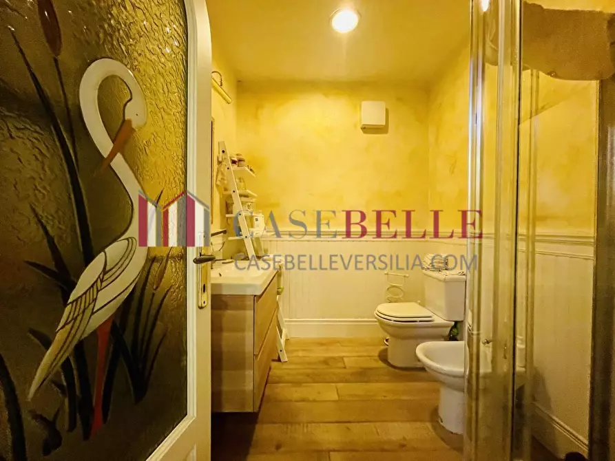 Immagine 43 di Villa in affitto  a Seravezza