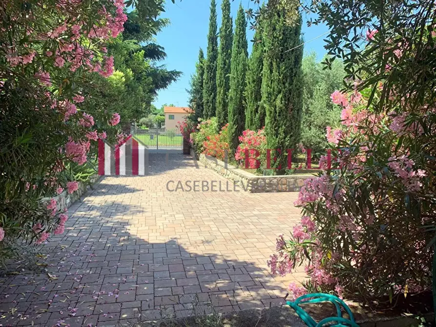 Immagine 14 di Villa in affitto  a Seravezza