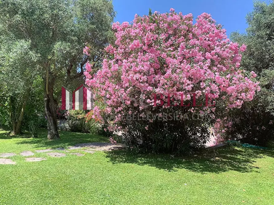 Immagine 12 di Villa in affitto  a Seravezza