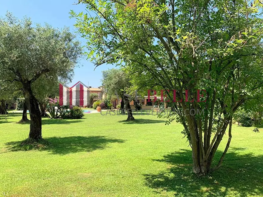 Immagine 7 di Villa in affitto  a Seravezza