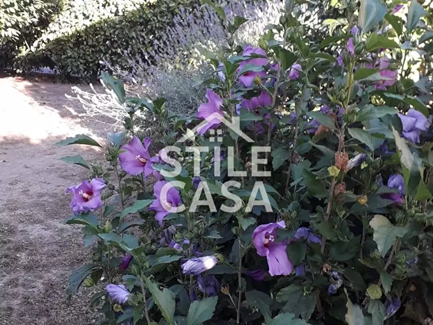 Immagine 6 di Casa semindipendente in vendita  a Castelfranco Di Sotto