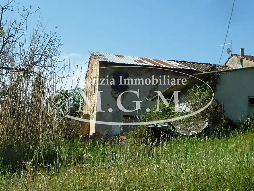 Immagine 9 di Casa colonica in vendita  a Santa Maria A Monte
