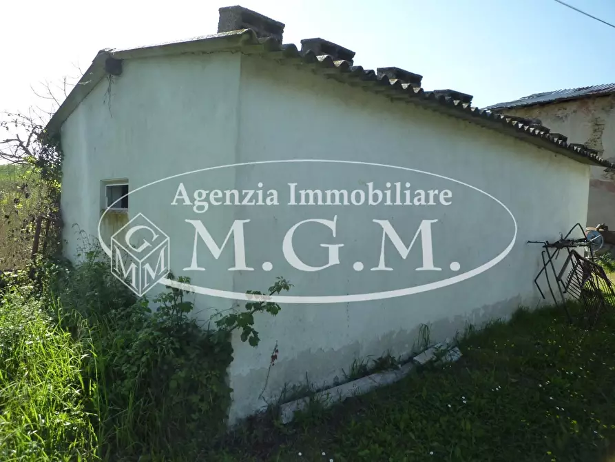 Immagine 8 di Casa colonica in vendita  a Santa Maria A Monte