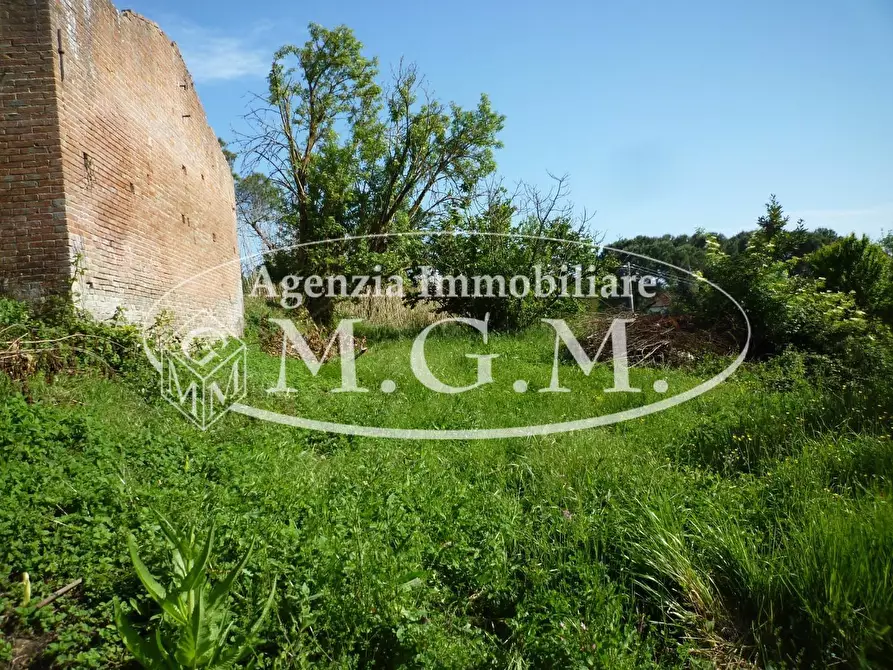 Immagine 4 di Casa colonica in vendita  a Santa Maria A Monte