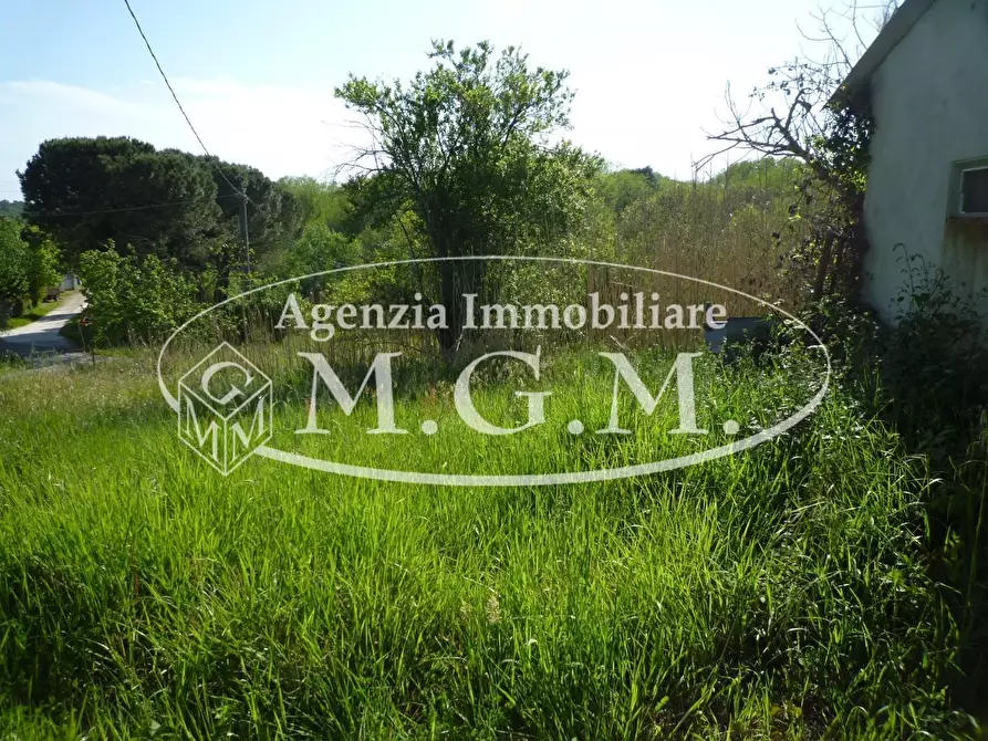 Immagine 13 di Casa colonica in vendita  a Santa Maria A Monte