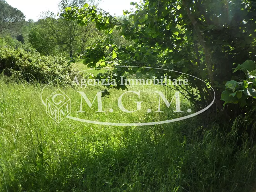 Immagine 10 di Casa colonica in vendita  a Santa Maria A Monte