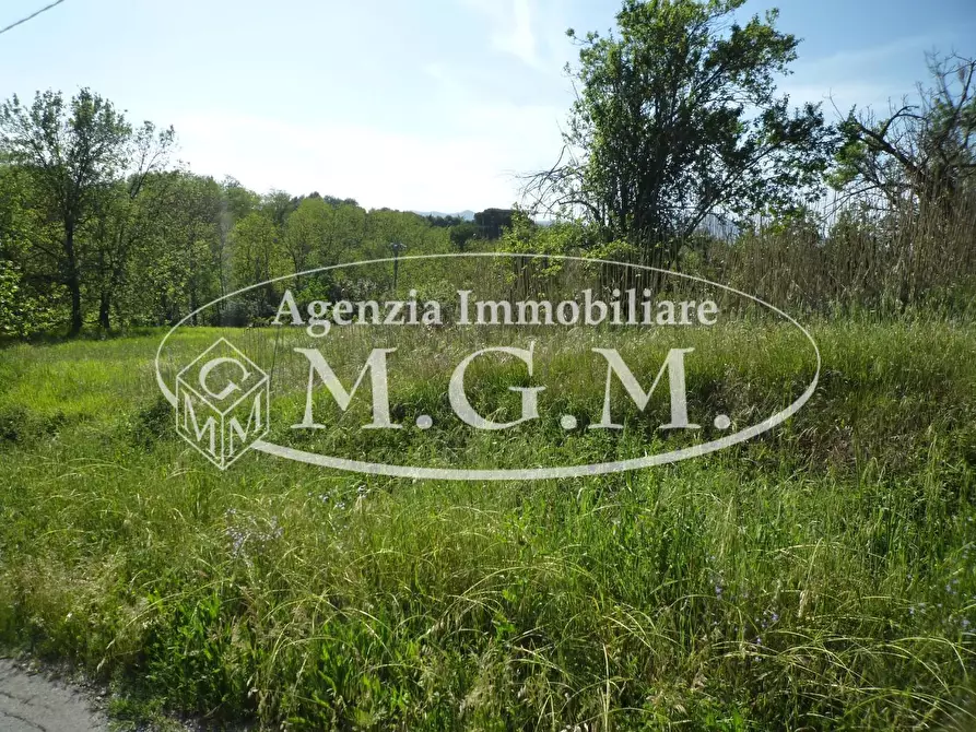 Immagine 11 di Casa colonica in vendita  a Santa Maria A Monte