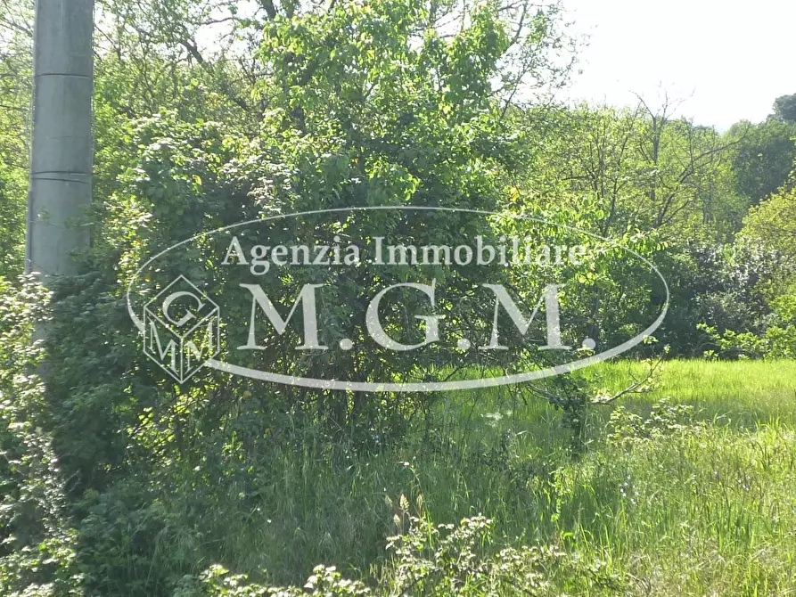 Immagine 12 di Casa colonica in vendita  a Santa Maria A Monte