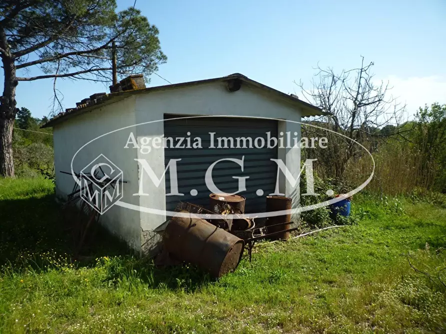 Immagine 7 di Casa colonica in vendita  a Santa Maria A Monte