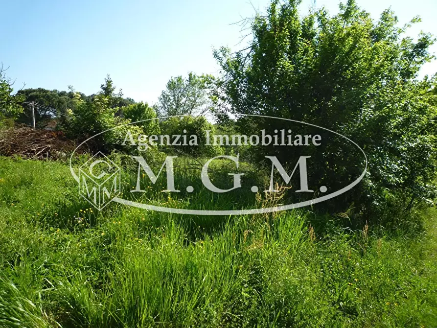 Immagine 5 di Casa colonica in vendita  a Santa Maria A Monte