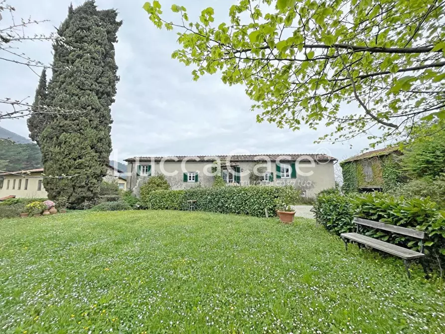 Immagine 9 di Casa colonica in vendita  a Lucca