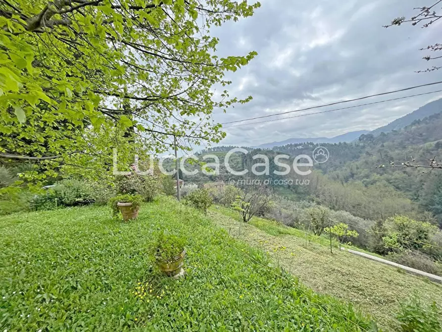 Immagine 65 di Casa colonica in vendita  a Lucca