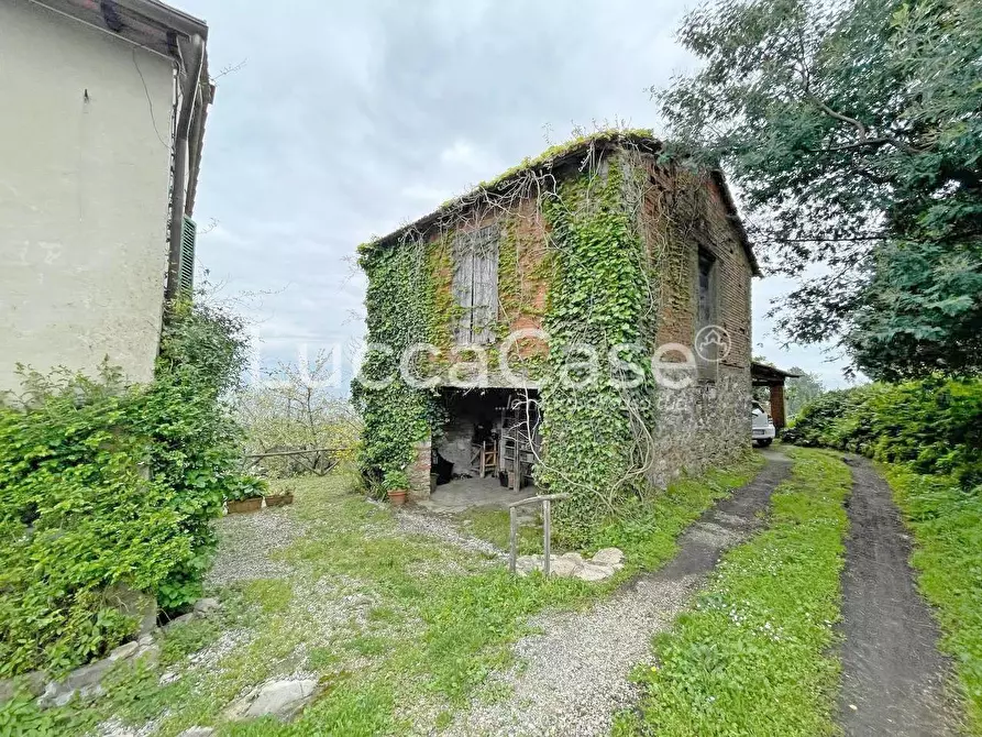 Immagine 11 di Casa colonica in vendita  a Lucca