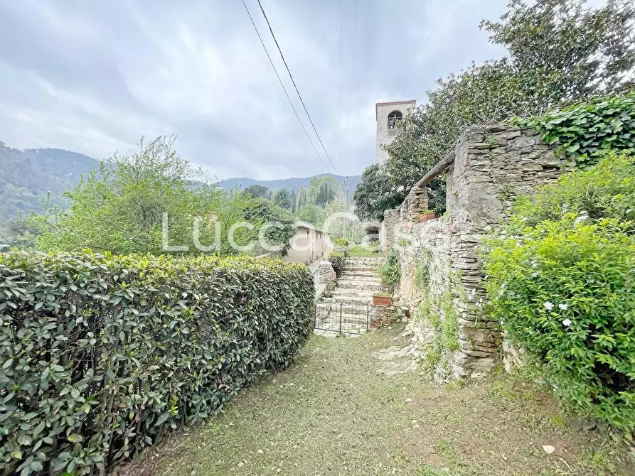 Immagine 53 di Casa colonica in vendita  a Lucca
