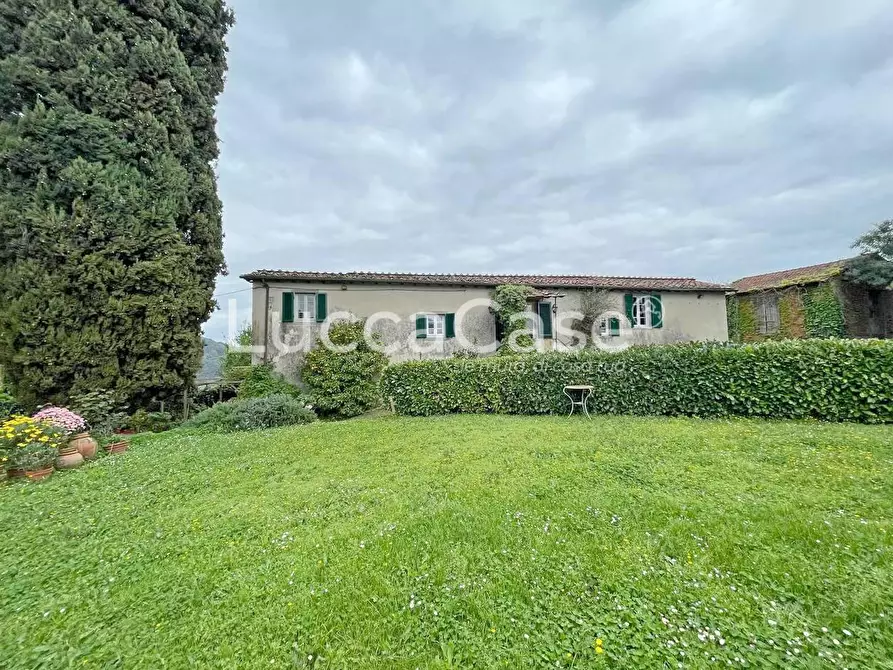 Immagine 2 di Casa colonica in vendita  a Lucca