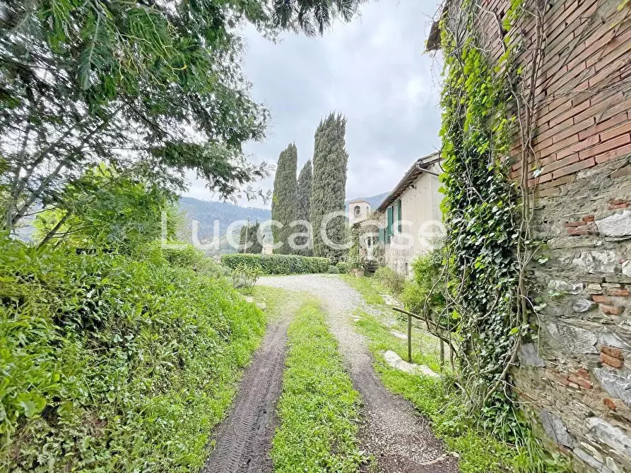 Immagine 82 di Casa colonica in vendita  a Lucca
