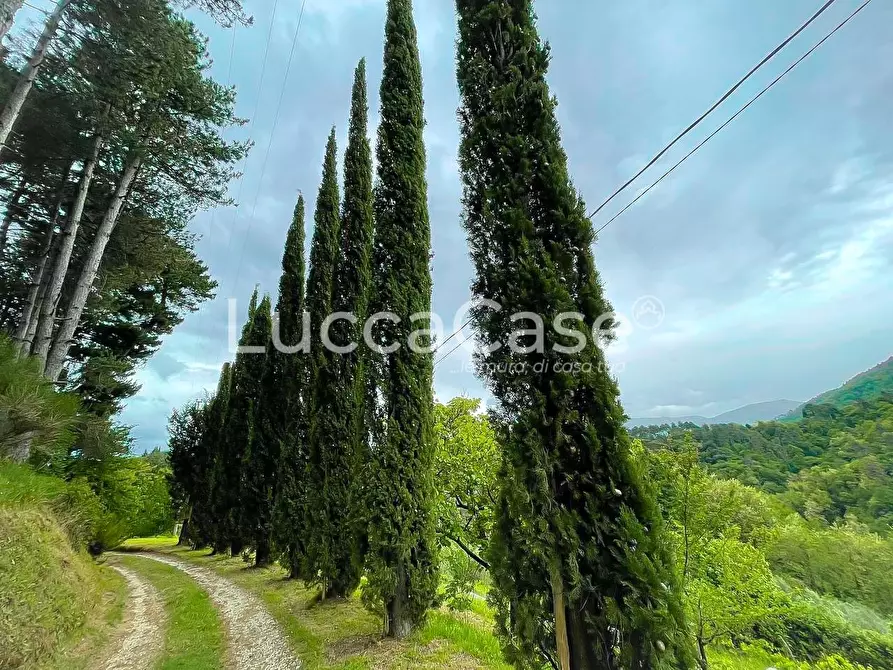 Immagine 4 di Casa colonica in vendita  a Lucca