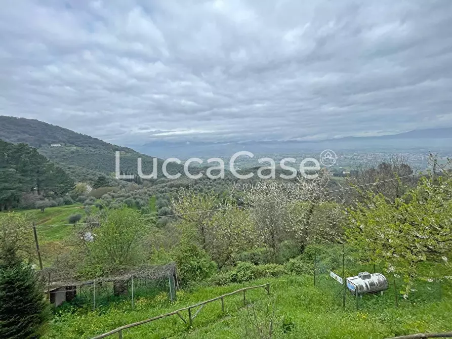 Immagine 7 di Casa colonica in vendita  a Lucca