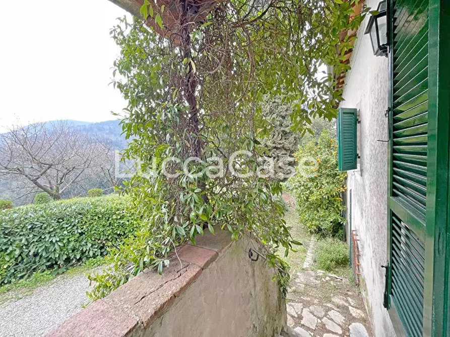 Immagine 64 di Casa colonica in vendita  a Lucca