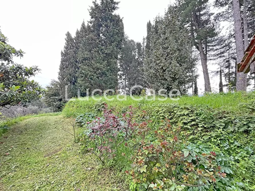 Immagine 78 di Casa colonica in vendita  a Lucca