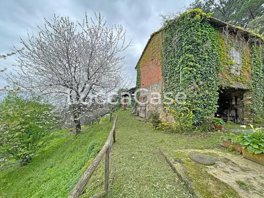 Immagine 75 di Casa colonica in vendita  a Lucca