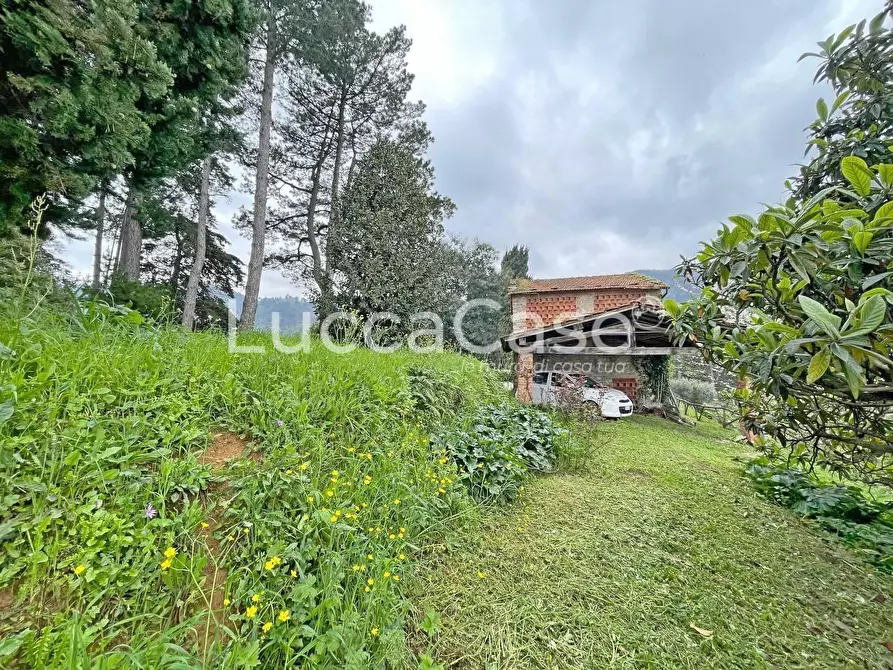 Immagine 76 di Casa colonica in vendita  a Lucca