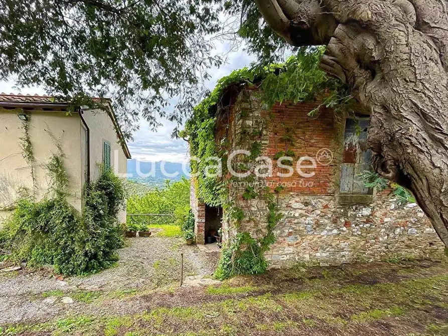 Immagine 10 di Casa colonica in vendita  a Lucca
