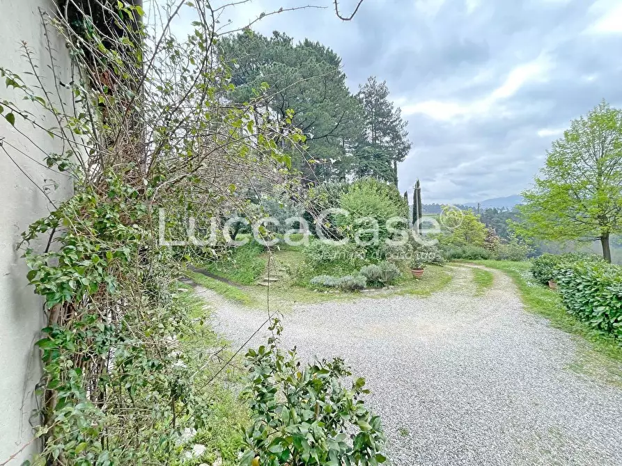 Immagine 61 di Casa colonica in vendita  a Lucca