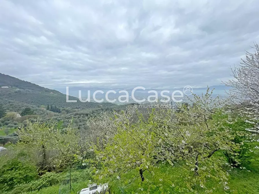 Immagine 13 di Casa colonica in vendita  a Lucca