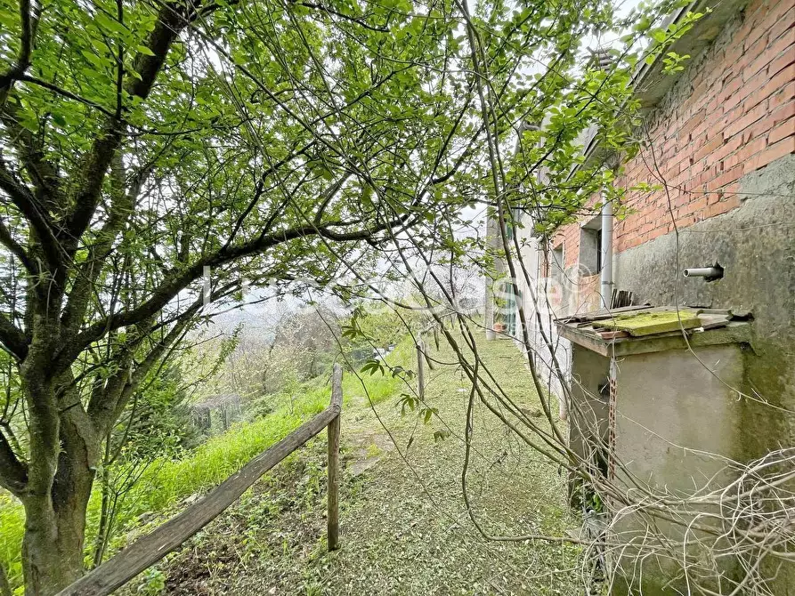 Immagine 72 di Casa colonica in vendita  a Lucca