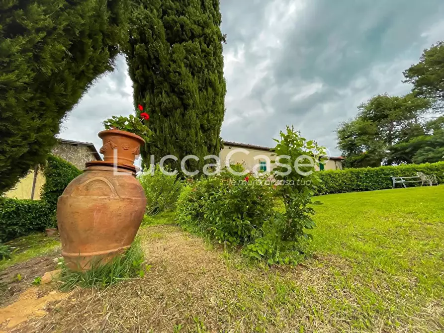 Immagine 3 di Casa colonica in vendita  a Lucca