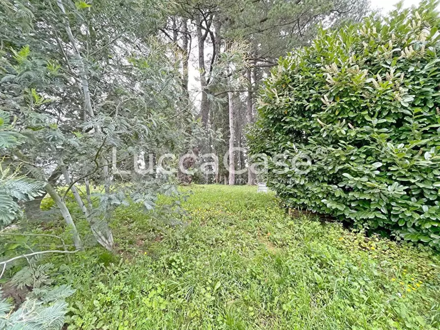 Immagine 80 di Casa colonica in vendita  a Lucca