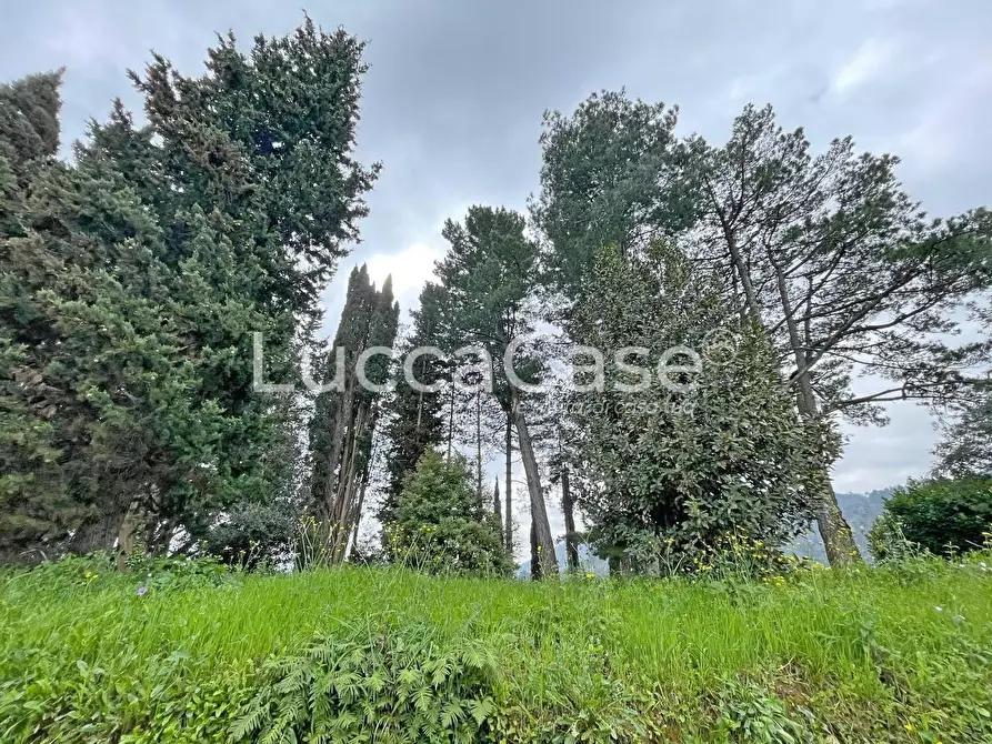 Immagine 77 di Casa colonica in vendita  a Lucca