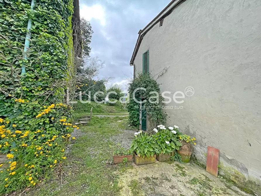 Immagine 74 di Casa colonica in vendita  a Lucca