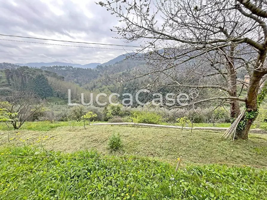 Immagine 66 di Casa colonica in vendita  a Lucca