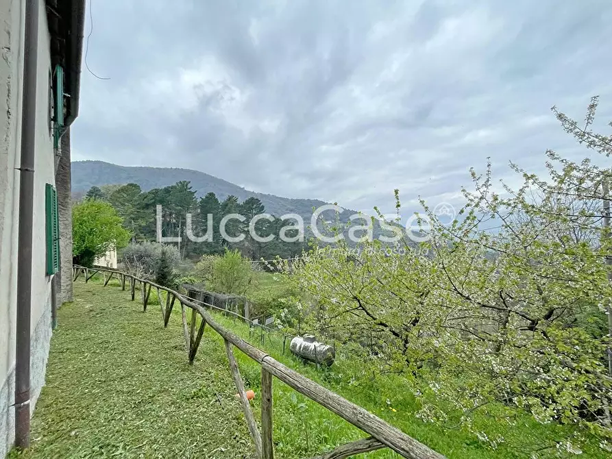 Immagine 79 di Casa colonica in vendita  a Lucca