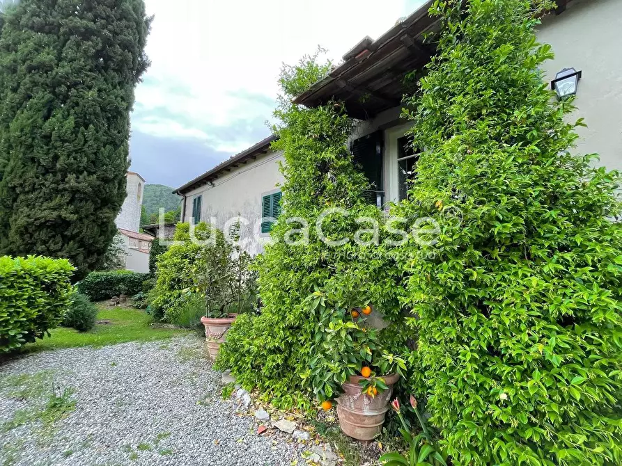 Immagine 6 di Casa colonica in vendita  a Lucca