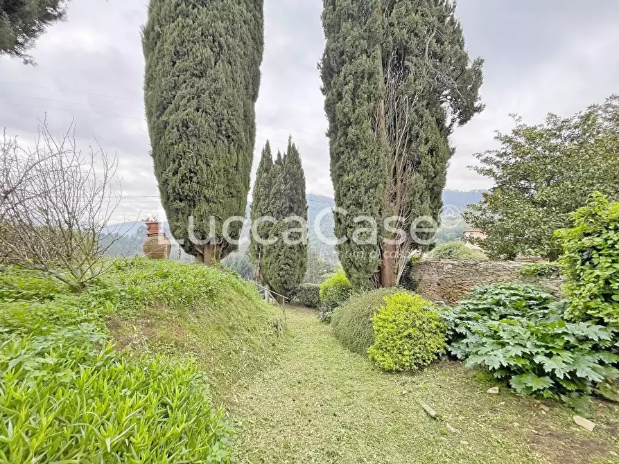 Immagine 69 di Casa colonica in vendita  a Lucca