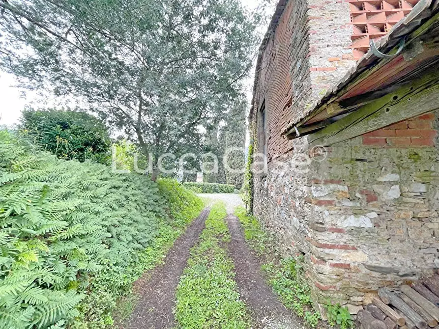 Immagine 81 di Casa colonica in vendita  a Lucca