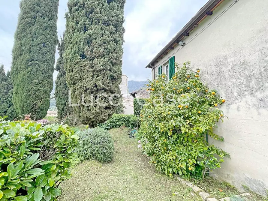 Immagine 32 di Casa colonica in vendita  a Lucca