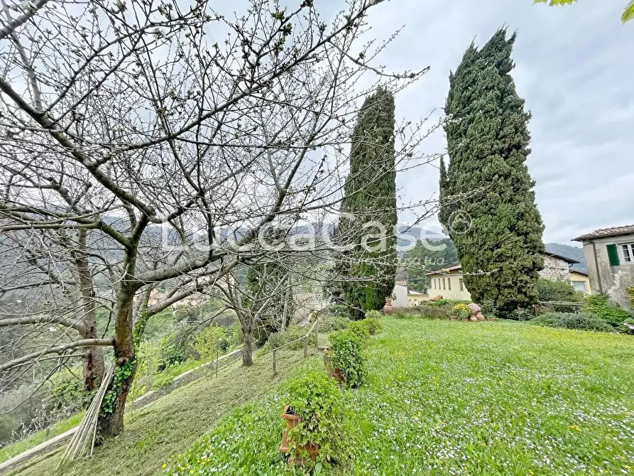 Immagine 14 di Casa colonica in vendita  a Lucca
