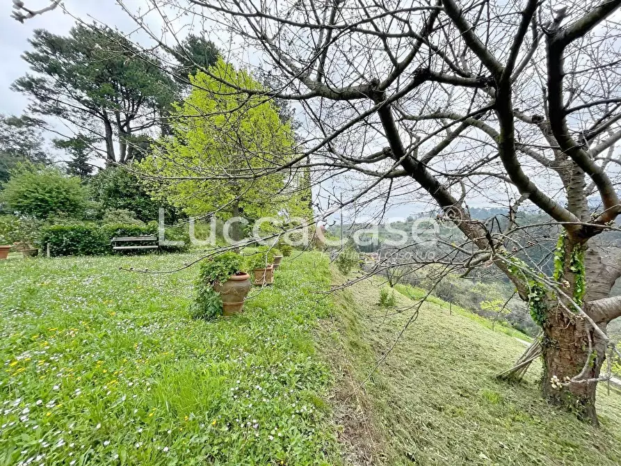 Immagine 70 di Casa colonica in vendita  a Lucca