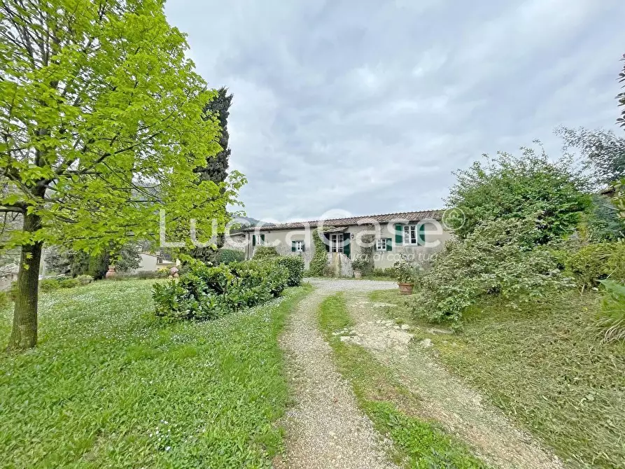 Immagine 8 di Casa colonica in vendita  a Lucca