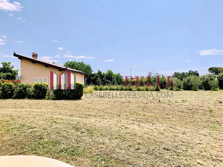 Immagine 39 di Villa in affitto  a Seravezza