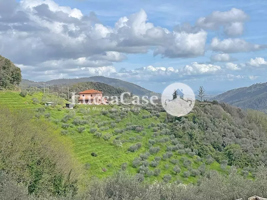 Immagine 1 di Casa colonica in vendita  a Pescaglia